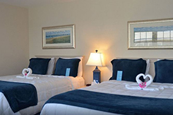 pet friendly hotel in nantucket