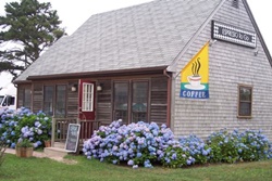 pet friendly restaurant in nantucket