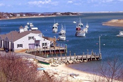 Island Inn on Martha's Vineyard, pet friendly hotels in Nantucket, Nantucket dog friendly hotels