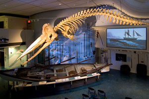 the whaling museum in nantucket
