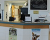 offshore animal hospital pet friendly veterinarian nantucket