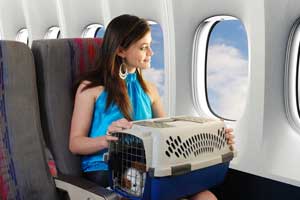 travel with pet on airplane